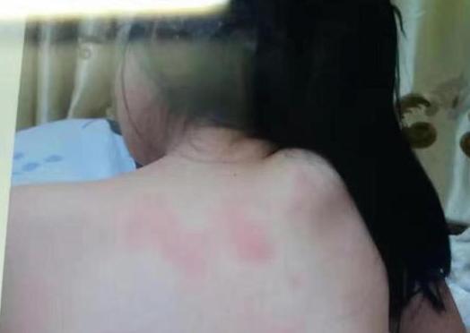 t01917806d010461aee.jpg?size=524x372